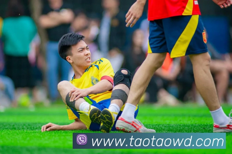 多媒体互动体验